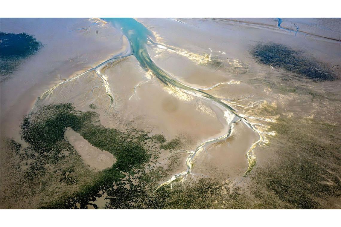 Die Situation im Wattenmeer ist einer Studie zufolge ernster als bisher angenommen. (Archivbild)
