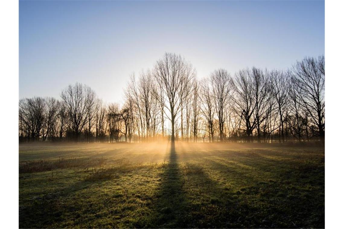 Mix aus Nebel und wärmender Sonne zum Start ins Wetterjahr Die Sonne geht bei leichtem morgendlichen Nebel hinter Bäumen auf. Foto: Julian Stratenschulte/dpa/Archivbild