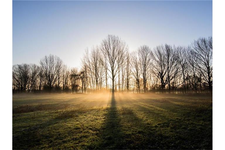 Die Sonne geht bei leichtem morgendlichen Nebel hinter Bäumen auf. Foto: Julian Stratenschulte/dpa/Archivbild