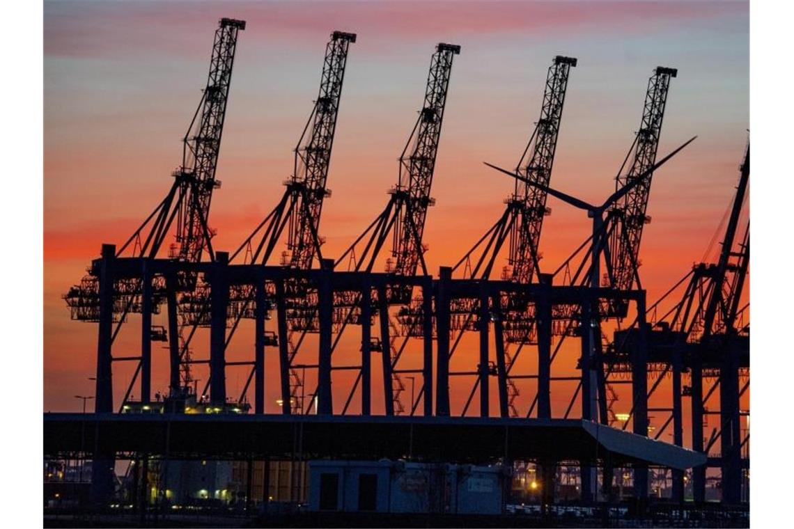 Die Sonne geht hinter den hochgeklappten Containerbrückenkränen, die normalerweise Schiffe entladen, im Hamburger Hafen unter. Foto: Axel Heimken/dpa