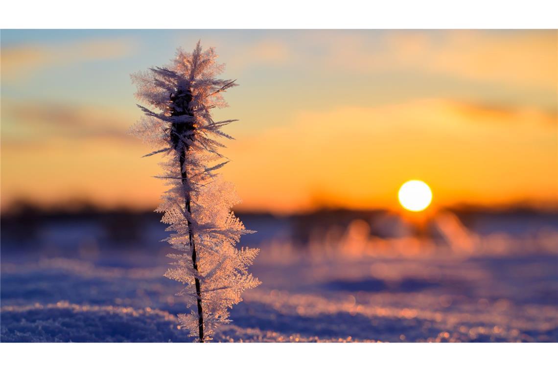 Die Sonne hat deutlich mehr Stunden eingesammelt als im Vergleichszeitraum. (Archivbild)