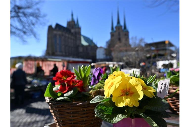 Die Sonne lacht - Frühlingswetter in Erfurt. Foto: Martin Schutt/dpa-Zentralbild/dpa