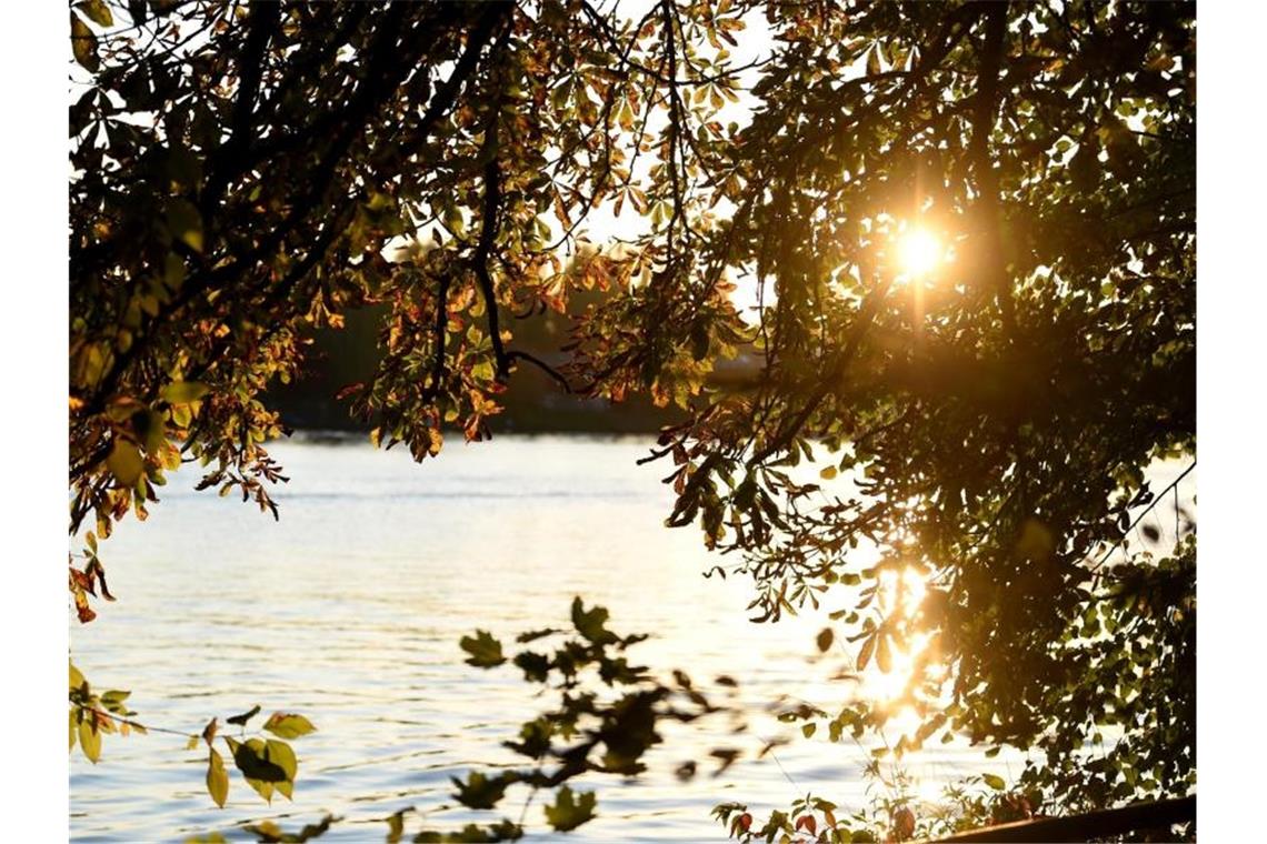 Heiterer Sonntag im Südwesten: Neue Woche beginnt herbstlich Die Sonne scheint durch herbstlich gefärbte Blätter hindurch. Foto: Kira Hofmann/dpa-Zentralbild/ZB/Symbolbild