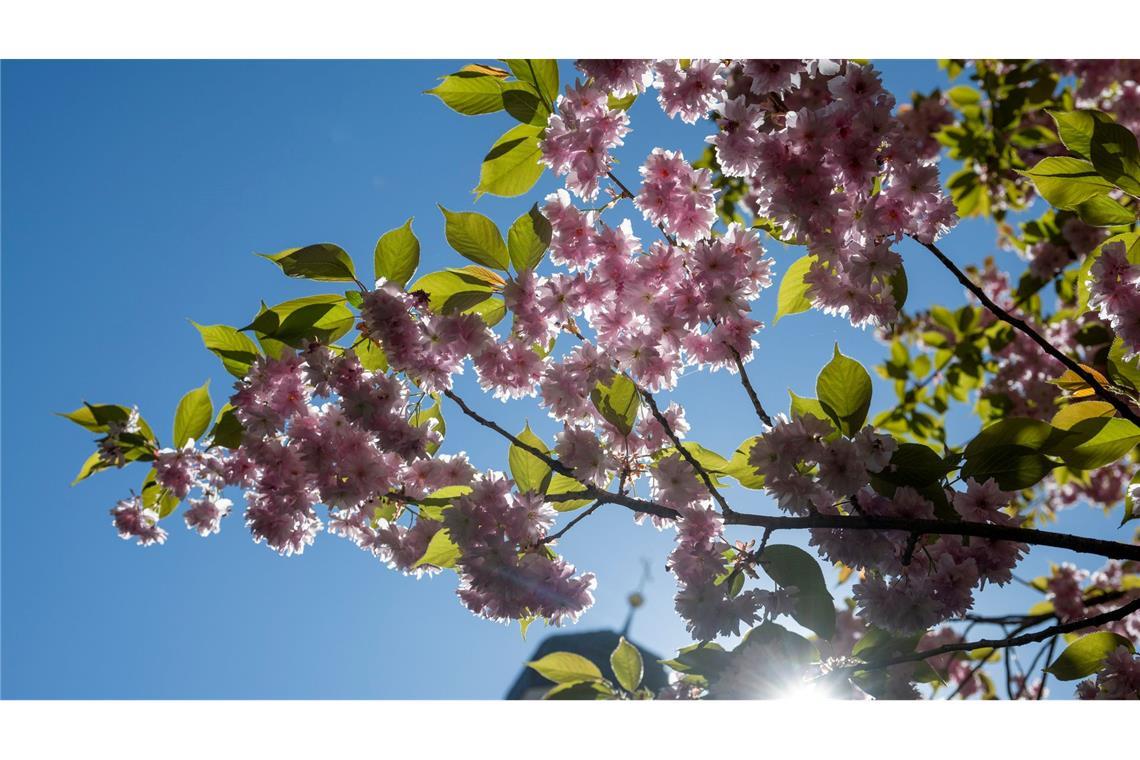 Die Sonne scheint fast überall den ganzen Tag. (Archivbild)
