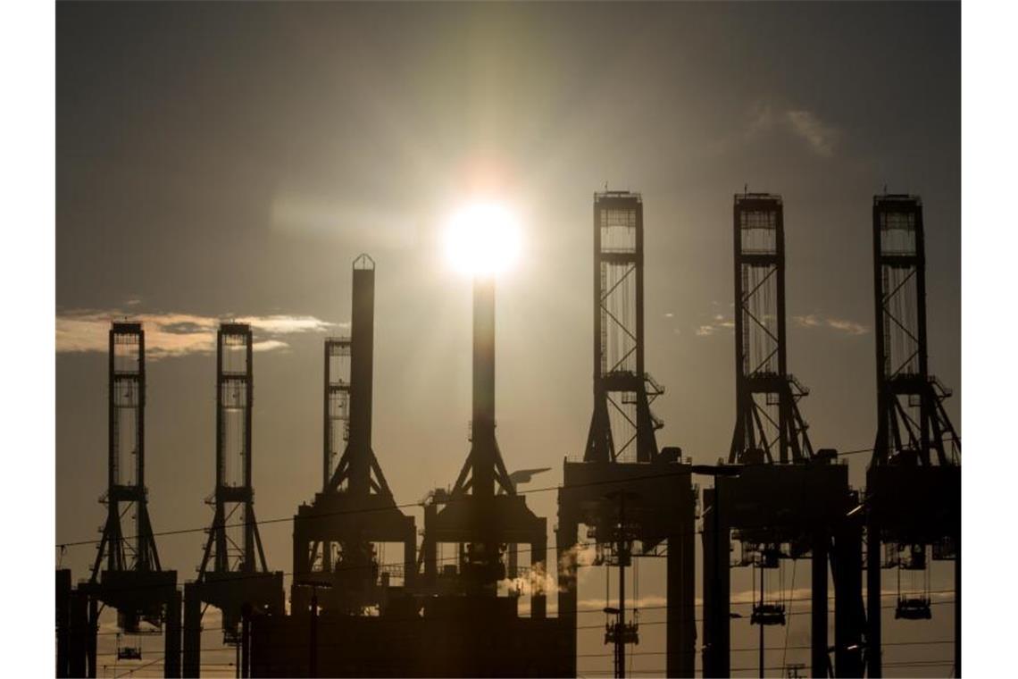 Die Sonne scheint hinter den Kränen des Containerterminals Burchardkai in Hamburg.(Archivbild). Foto: Daniel Bockwoldt/dpa