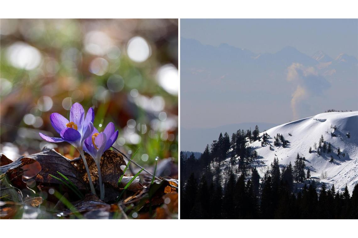Die Sonne scheint in den kommenden Tagen über Baden-Württemberg – vereinzelt ist aber auch Schneefall möglich.