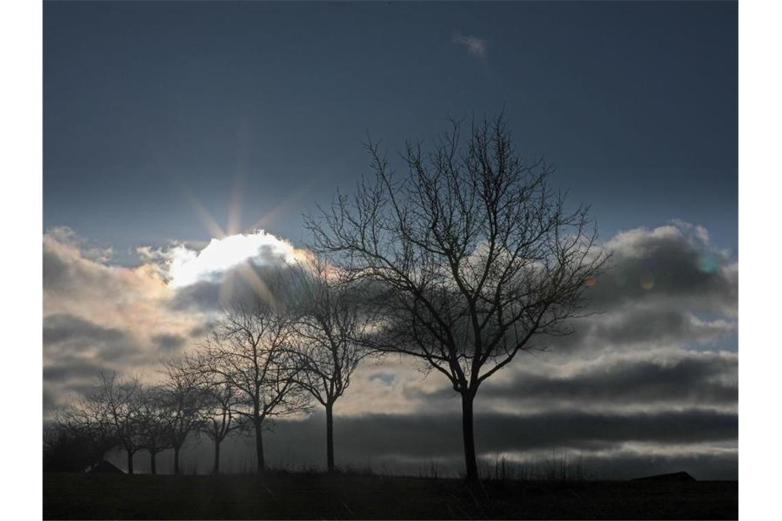 Die Sonne scheint zwischen Wolken hinter Bäumen am Rande einer Landstraße hervor. Foto: Oliver Berg/dpa/Archiv