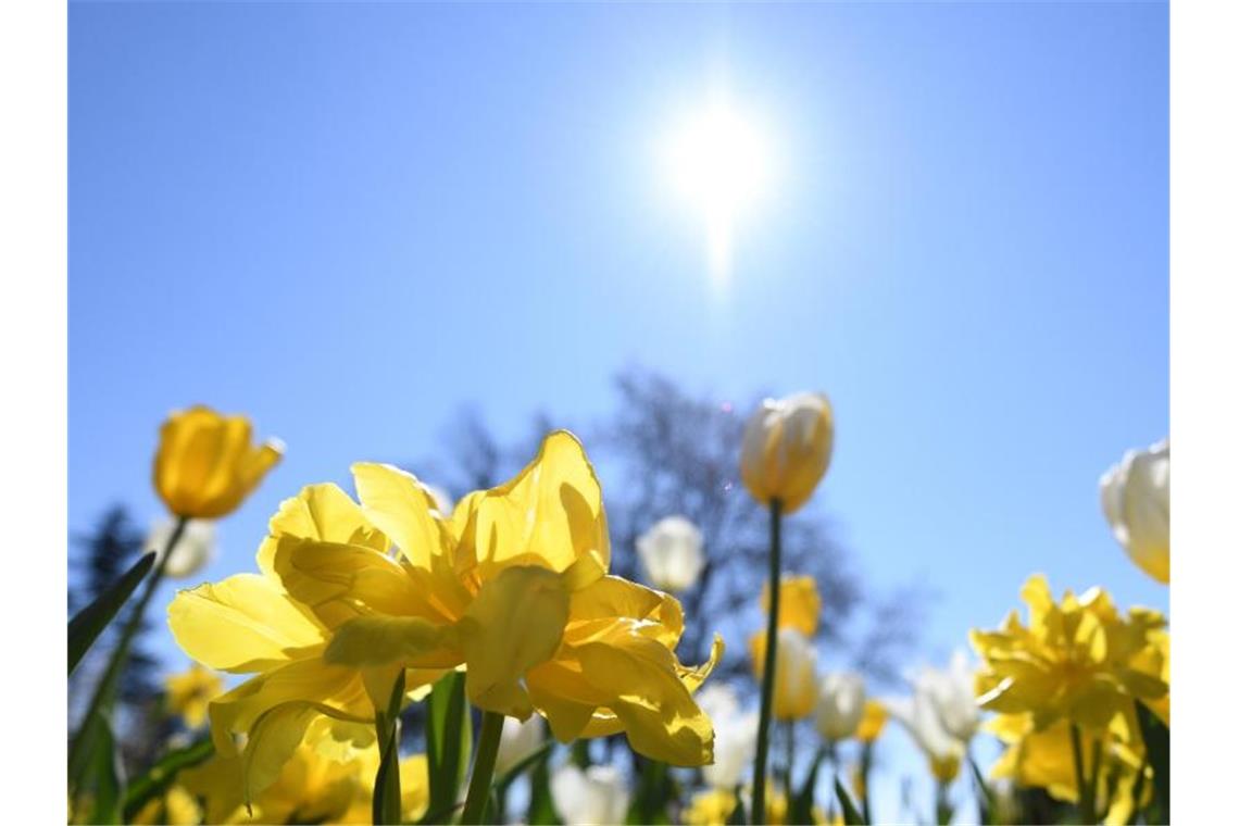 Sonniger Karfreitag in Baden-Württemberg