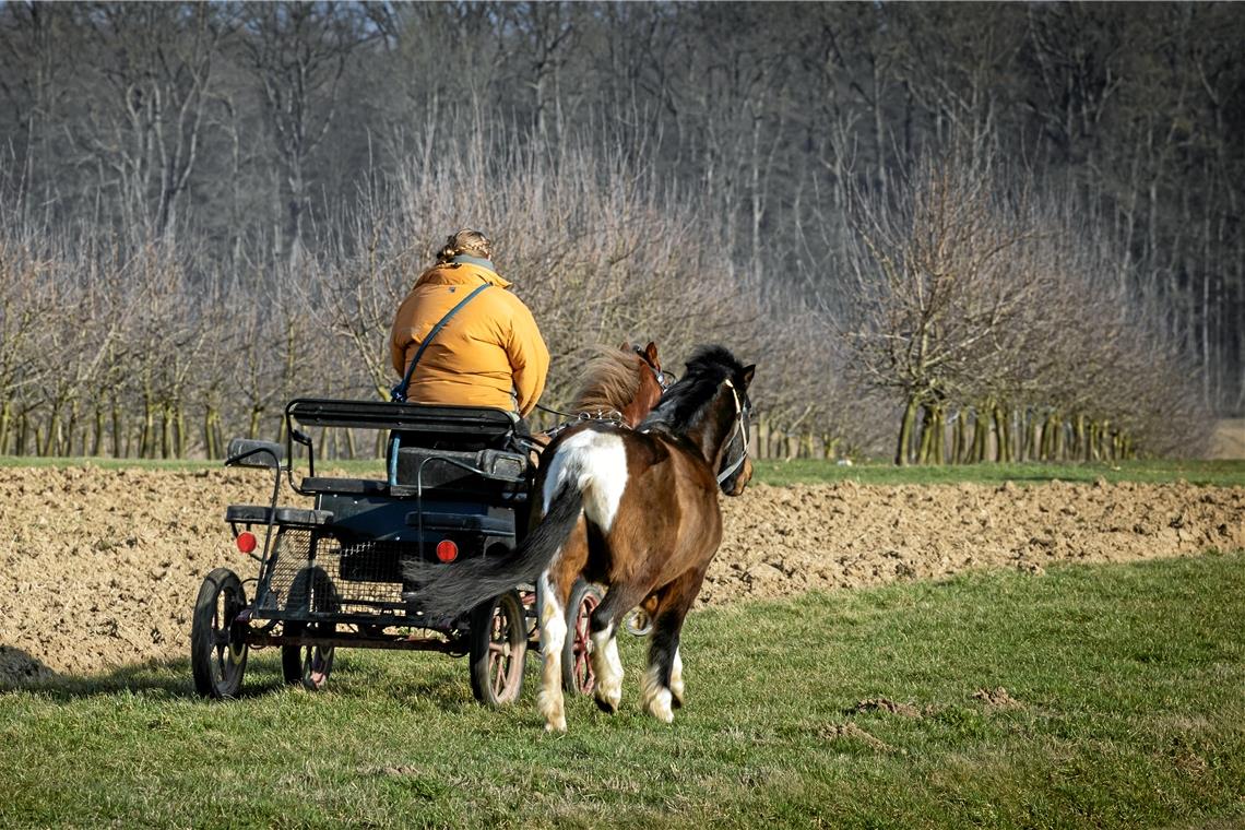 Wetterrückblick auf einen frühlingshaften Februar Die Sonnenstrahlen locken Mensch und Tier ins Freie.Foto: Alexander Becher