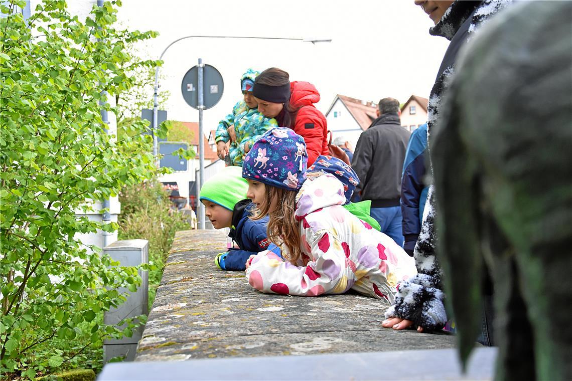 Die Spannung steigt während des Rennens. Die Enten werden von der Brücke aus beo...