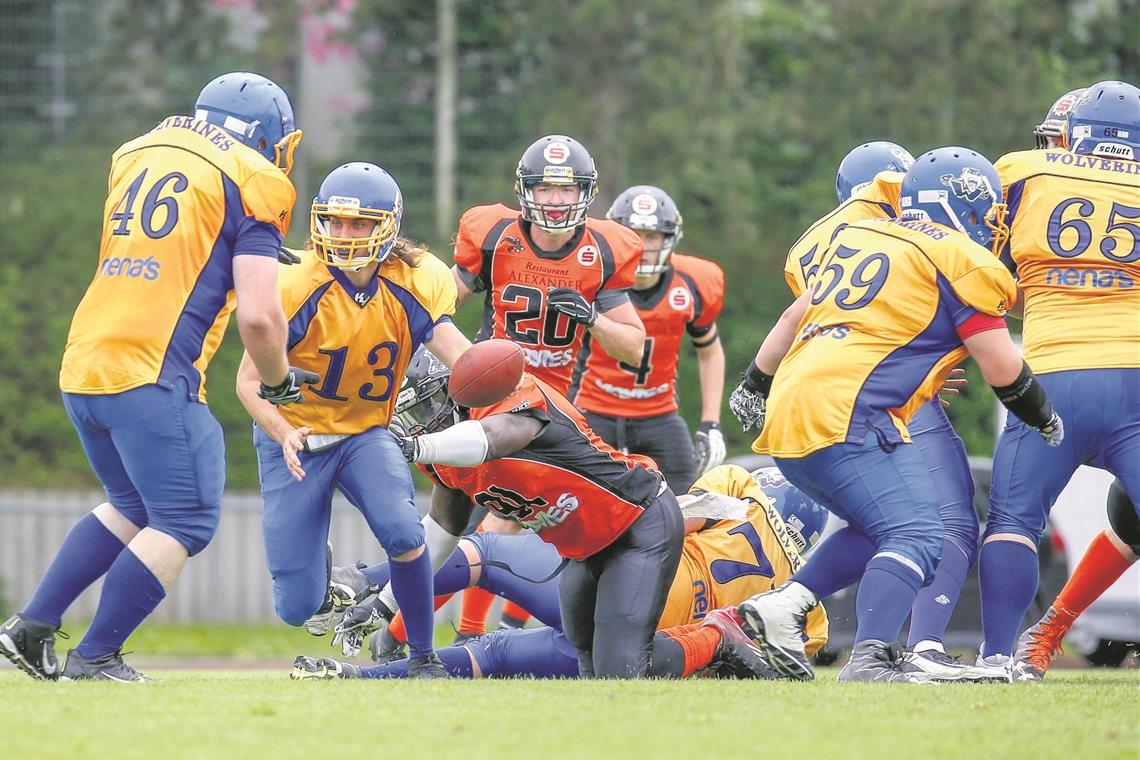 Die Spieler der Backnang Wolverines (gelbe Trikots) zeigen, dass Partien im American Football packend sein können.Foto: A. Becher