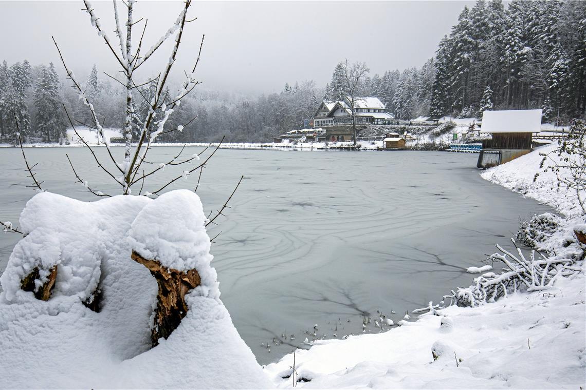 Drei tote Hühner im Ebnisee Die Sporttasche befand sich im Uferbereich des Ebnisees. Archivfoto: A. Becher