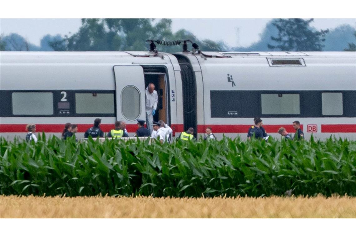 Bilder des Tages
