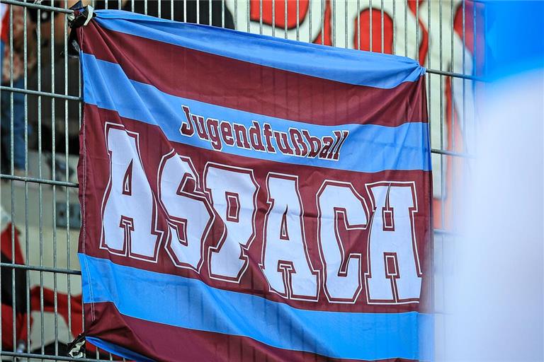 Die Spvgg Kleinaspach/Allmersbach und der TSV Bad Rietenau bilden die SGM Aspach. Beim BKZ-Mini-Cup treten sie Anfang Juli erstmals unter diesem Namen an. Foto: Alexander Becher