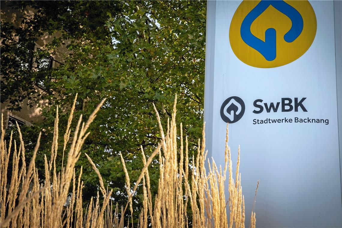 Strom, Gas und Wasser aus einer Hand Die Stadtwerke Backnang übernehmen das Stromnetz von der Syna. Symbolfoto: Alexander Becher