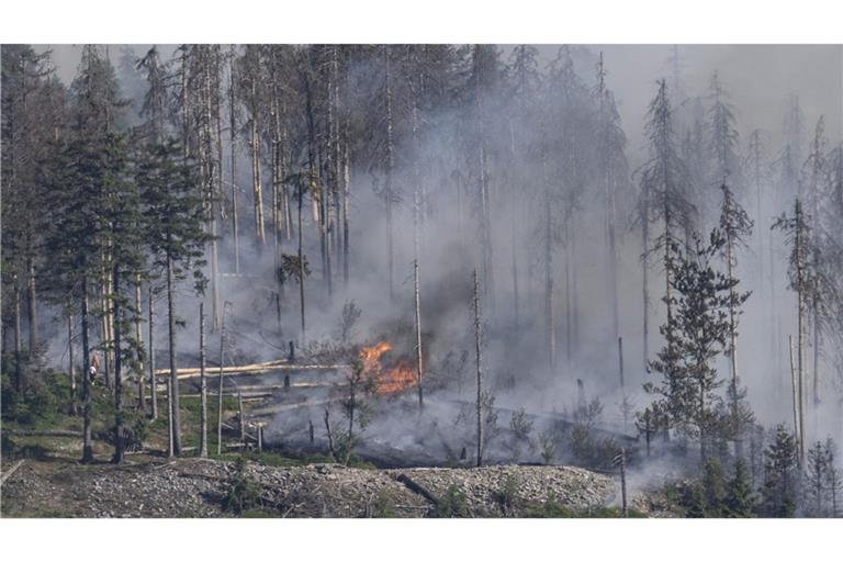 Die steigende Waldbrandgefahr könnte auch Folgen für Ausflügler am 1. Mai haben (Symbolbild).