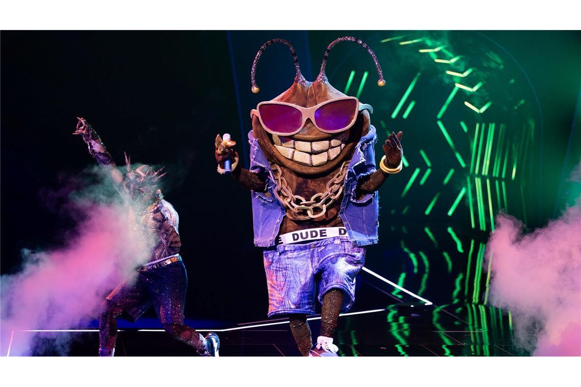 Die Stinkwanze "Dude" ist bei der ProSieben-Show "The Masked Singer" raus. (Archivbild)
