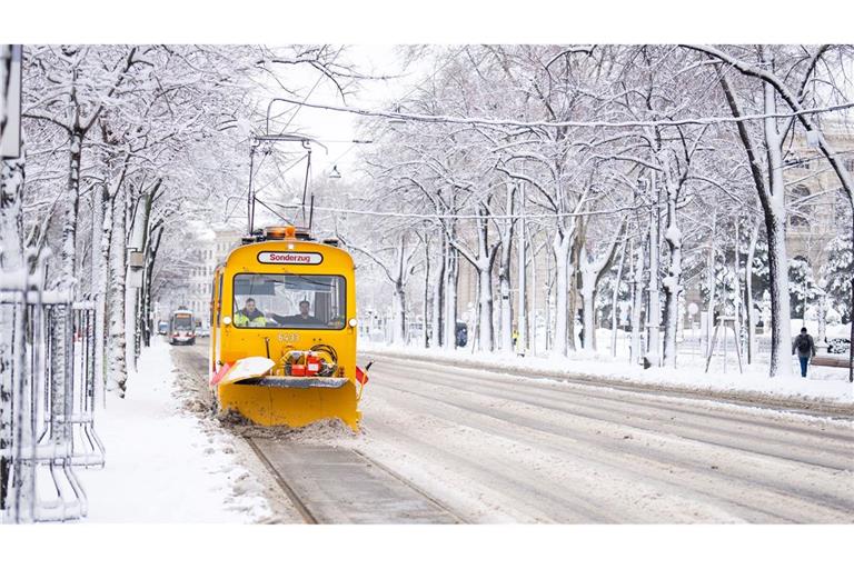 Die Straßen in Wien präsentieren sich weiß.