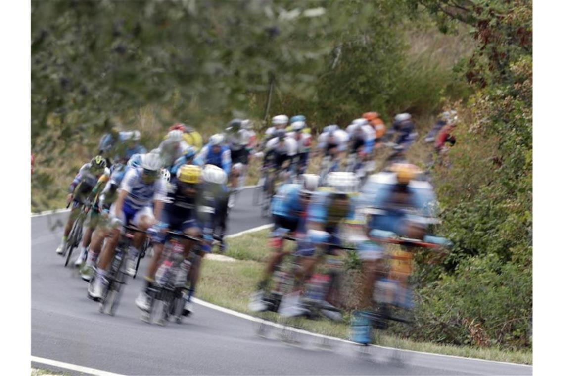 Alaphilippe wird Straßenrad-Weltmeister - Schachmann Neunter Die Straßenrad-WM fand in Imola statt. Foto: Andrew Medichini/AP/dpa