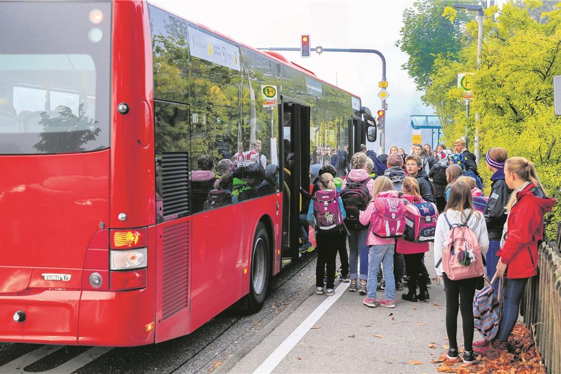 Bus lässt Schüler an Haltestelle stehen Die Strümpfelbacher Kinder sind auf den Bus angewiesen, sie haben im Gegensatz zu anderen nicht die Alternative, die Bahn zu nehmen. Foto: A. Becher
