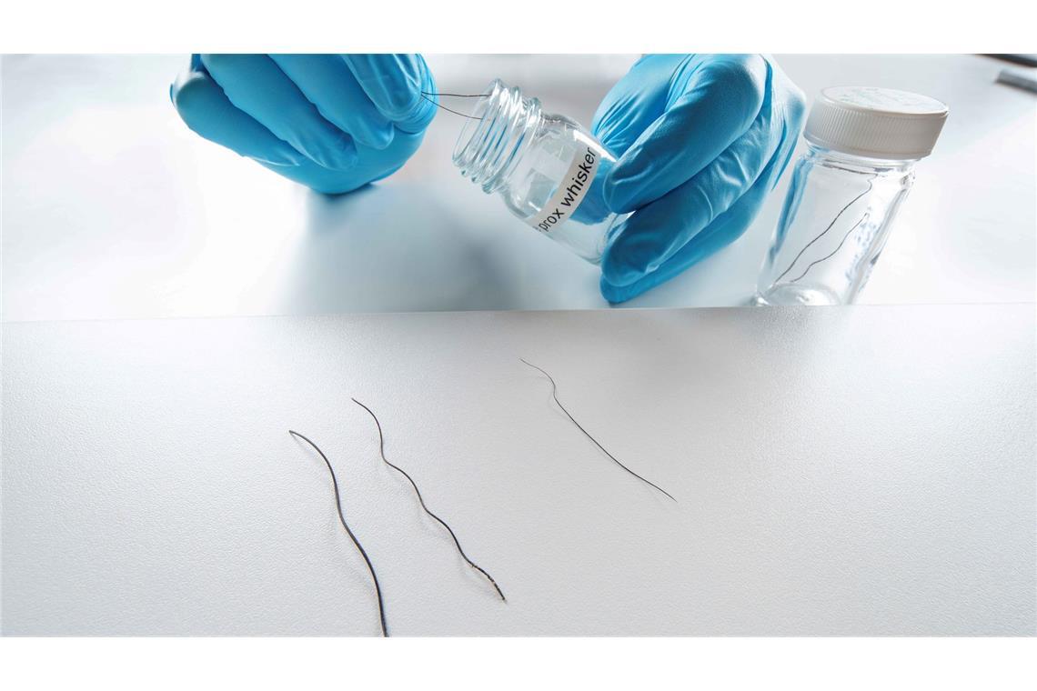 Die Studie untersuchte Rüsselhaare von Elefanten.