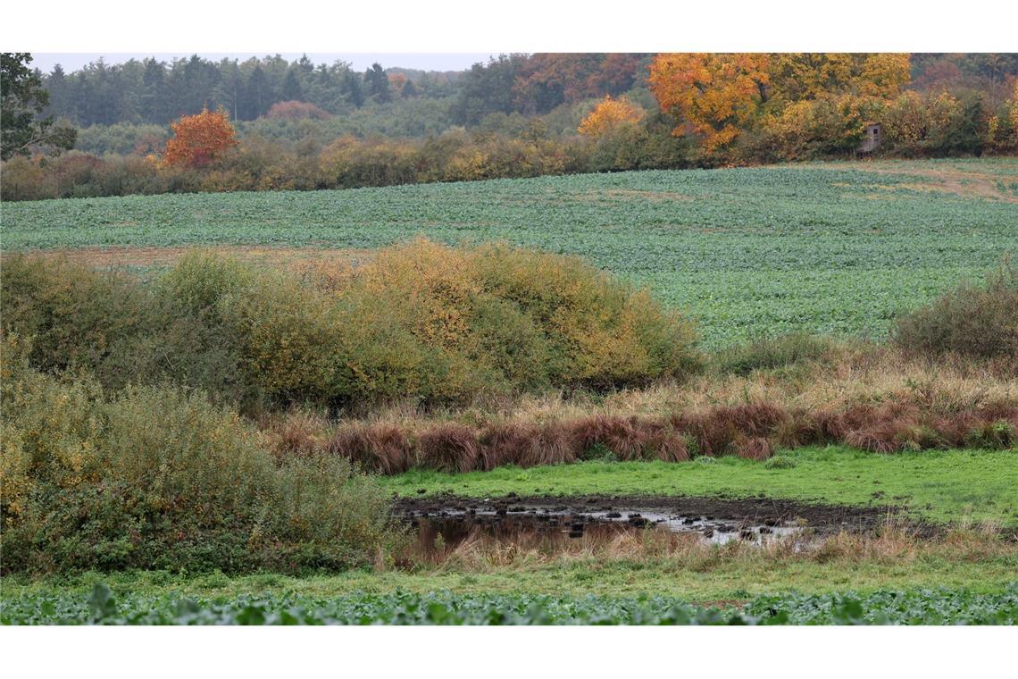 Die Suchmaßnahmen im Umfeld der Stelle, an der in der Nähe Güstrows am Dienstag ein toter Junge gefunden wurde, sind abgeschlossen.