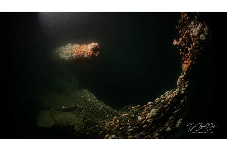 Die Tauchgänge fanden nach Angaben des Teams in großer Tiefe und unter herausfordernden Bedingungen statt.