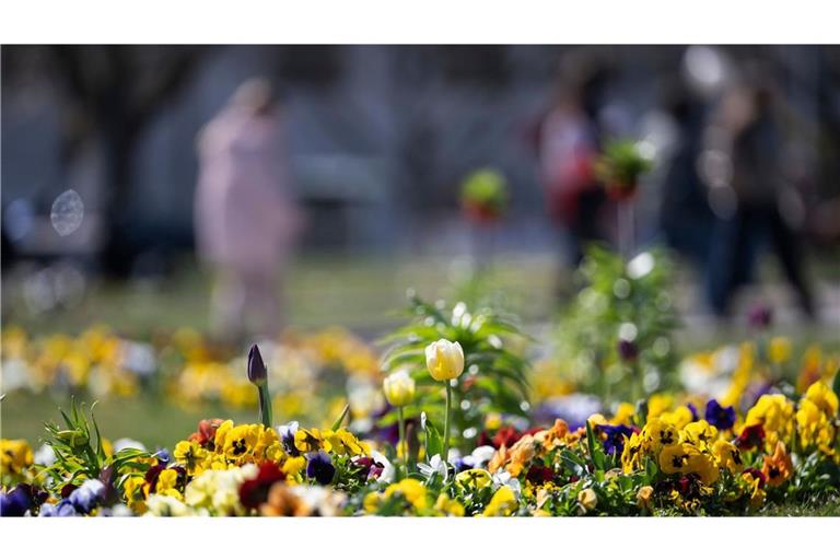 Die Temperaturen steigen in Baden-Württemberg in den kommenden Tagen. (Archivbild)