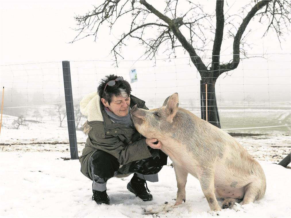 Die Tiere und die Arbeit helfen „Die Tiere merken genau, wie es mir geht“, sagt Martina Theurer. Es tut ihr gut, für sie zu sorgen und mit ihnen umzugehen. Zu den ganz zugewandten und treuen gehört der Eber Pumba, der als Ferkel auf den Hof kam und mit den Vierbeinern dort aufgewachsen ist. Foto: J. Fiedler