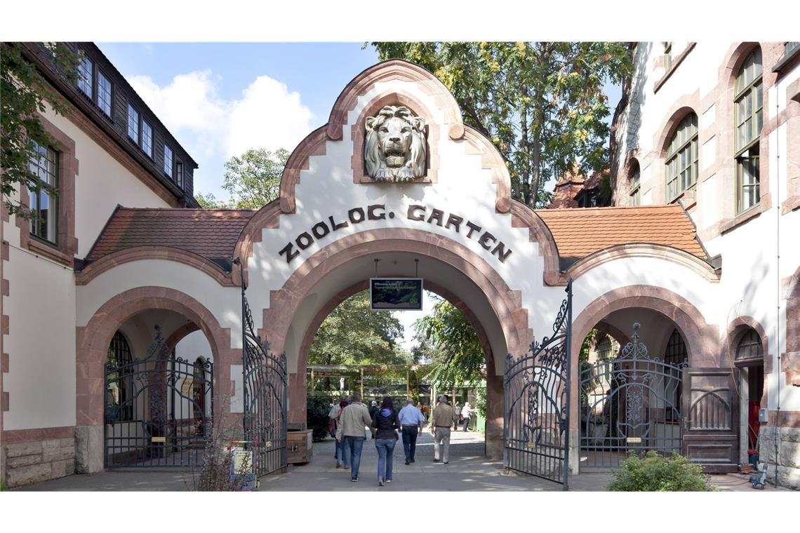 Die Tigerbabys, die im Leipziger Zoo eingeschläfert wurden, waren erst wenige Tage alt. (Symbolfoto)