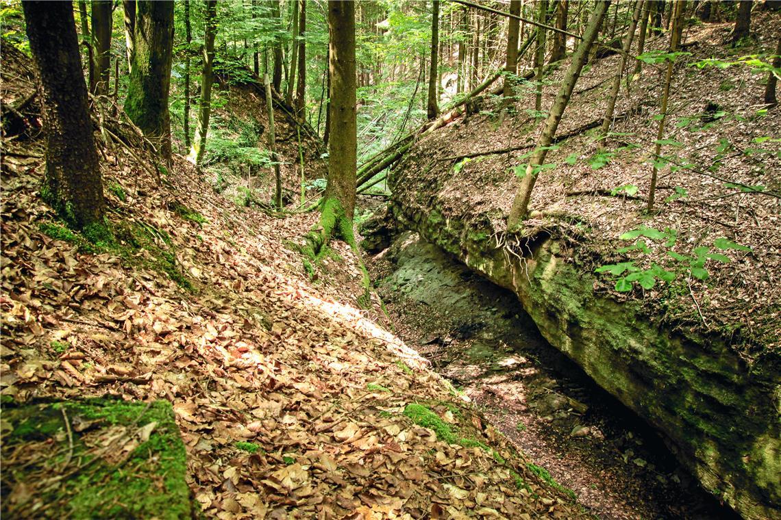 Die Tobelschlucht Dentelbachtal in Spiegelberg.