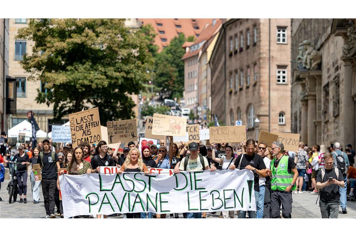 Zoo Leipzig schläfert drei Tigerbabys ein Die Tötung von Pavianen in Nürnberg hat scharfe Proteste hervorgerufen. (Archivbild)