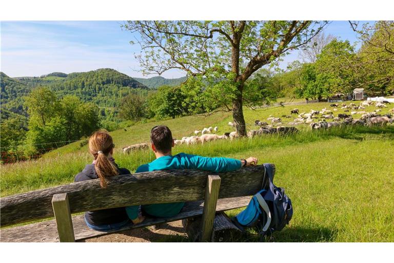 Die Tourismuszahlen in Baden-Württemberg sind gesunken. (Symbolbild)