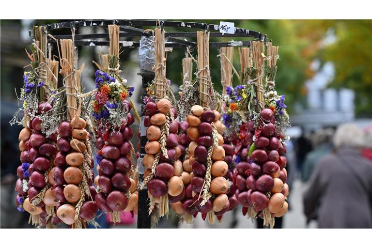 Die traditionellen Zwiebelzöpfe hängen zum Verkauf auf dem Zwiebelmarkt in Weimar.