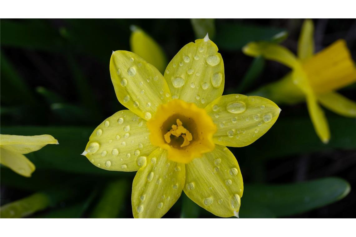 Oft über 20 Grad und endlich Regen: Wetter schwingt um