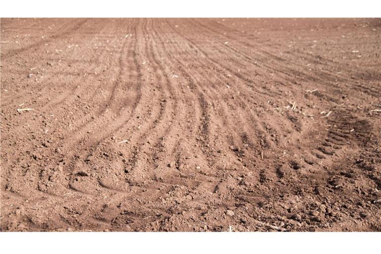 Die Trockenheit bereitet den Landwirten in Baden-Württemberg noch kein Kopfzerbrechen. (Symbolfoto)