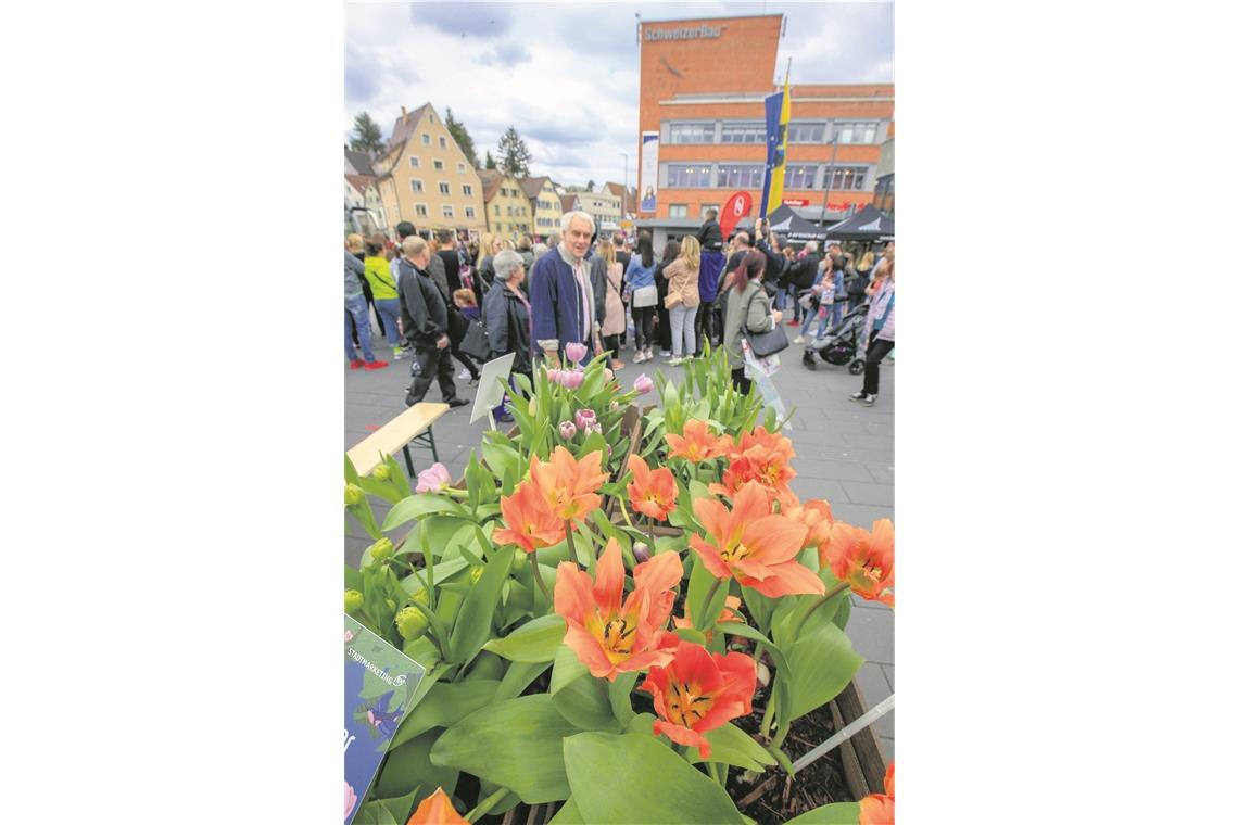 Einkaufen vor frühlingshafter Kulisse Die Tulpensorte „Orange Emperor“ entzückte mit ihrer prallen Farbe.