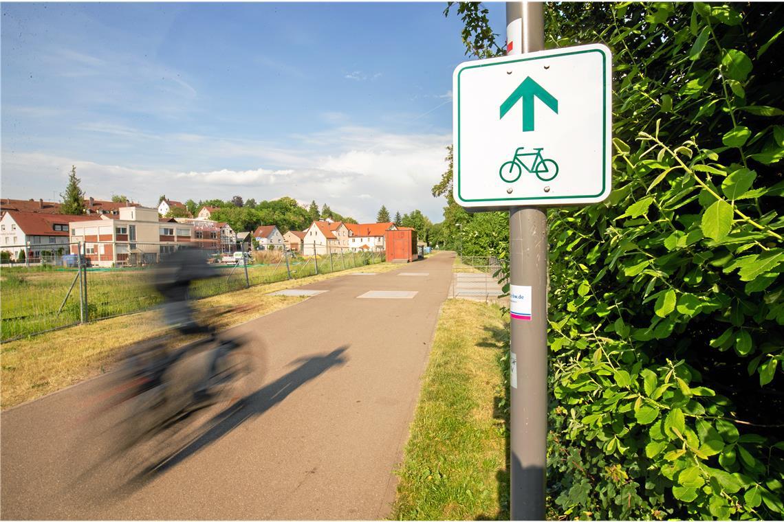 Radfahren im Rems-Murr-Kreis Die Umgebung von Backnang lässt sich bestens auf zwei Rädern erkunden. Foto: Alexander Becher