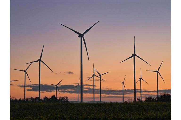 Die Umlage zur Förderung des Ökostroms nach dem Erneuerbare-Energien-Gesetz soll aus dem Bundeshaushalt finanziert werden. Foto: Patrick Pleul/dpa