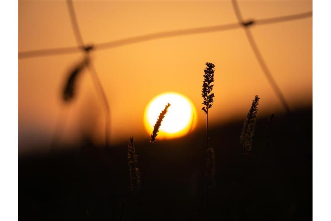 Die untergehende Sonne an einem Deich in Schleswig-Holstein. Foto: Jonas Walzberg/dpa