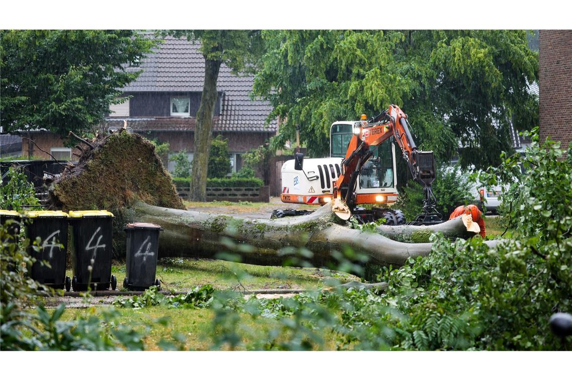 Die Unwetter ließen auch große Bäume umstürzen.