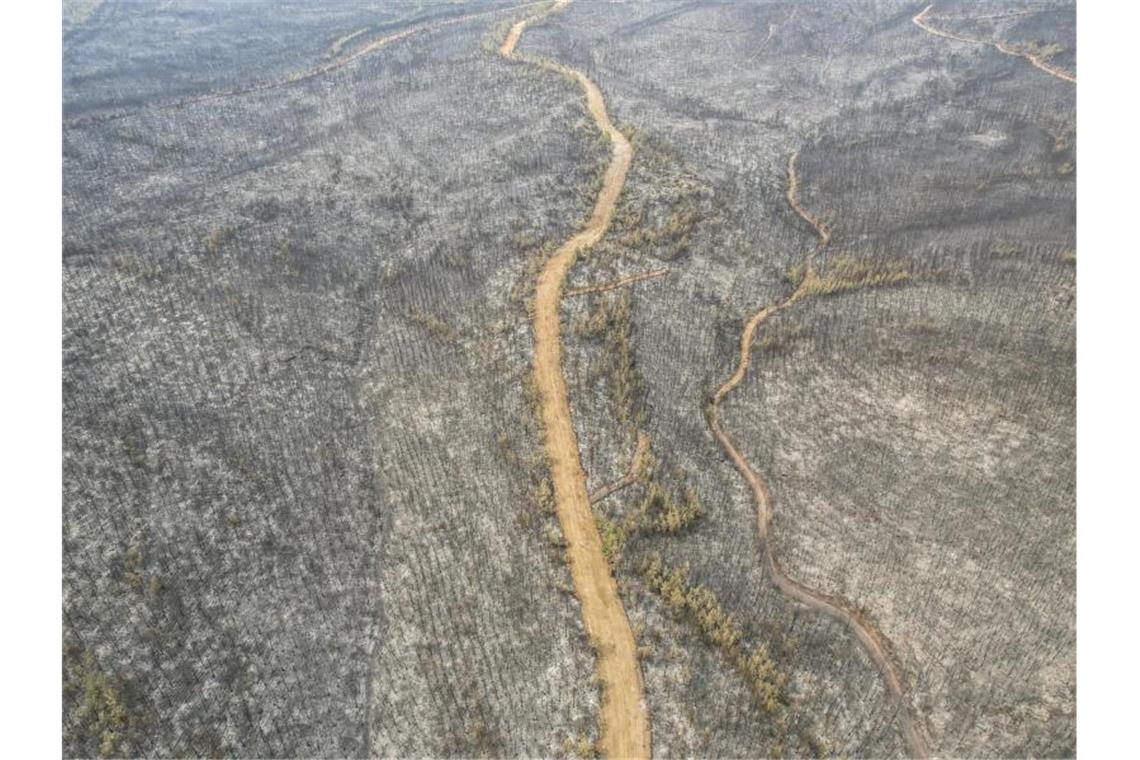 Die verheerenden Brände in der Türkei hinterlassen verkohlte Landstriche. Foto: Uncredited/AP/dpa