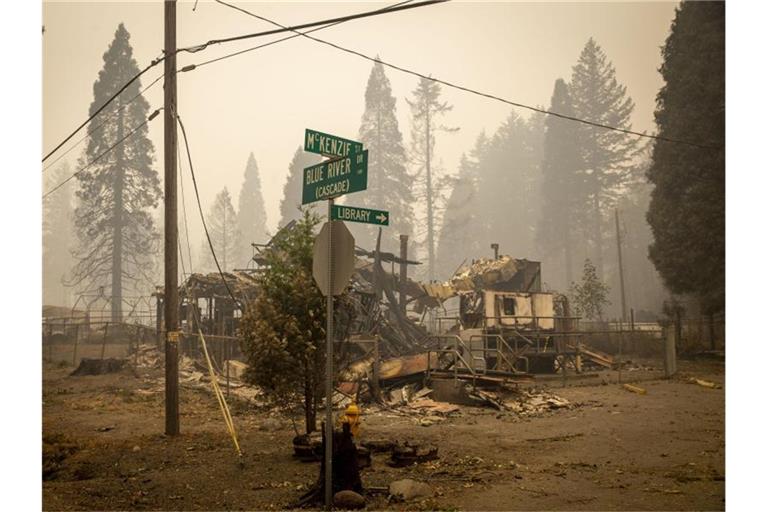 Die verheerenden Waldbrände im Westen der USA haben in den vergangenen Wochen riesige Flächen zerstört. Foto: Andy Nelson/Pool The Register-Guard/Pool/AP/dpa