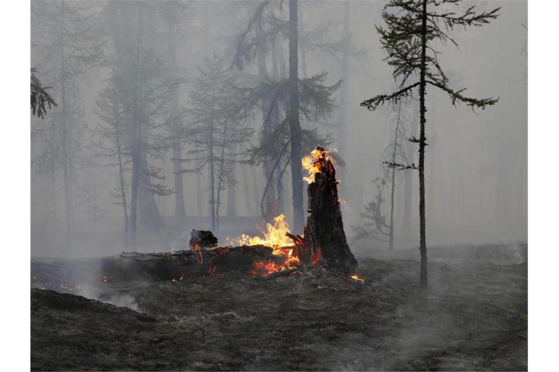 Die verheerenden Waldbrände in Russland werden zunehmend zu einer Gesundheitsgefahr für die Menschen. Foto: Vasily Kuper/AP/dpa