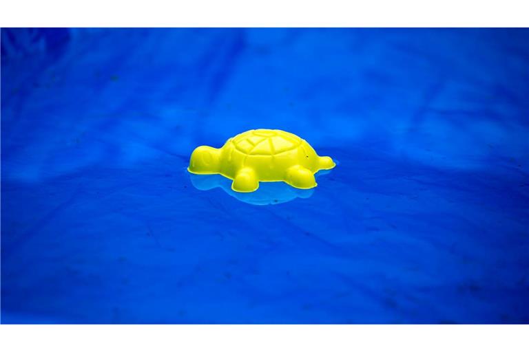 Die vermissten Kinder wurden tot in einem privaten Pool gefunden. (Symbolbild)