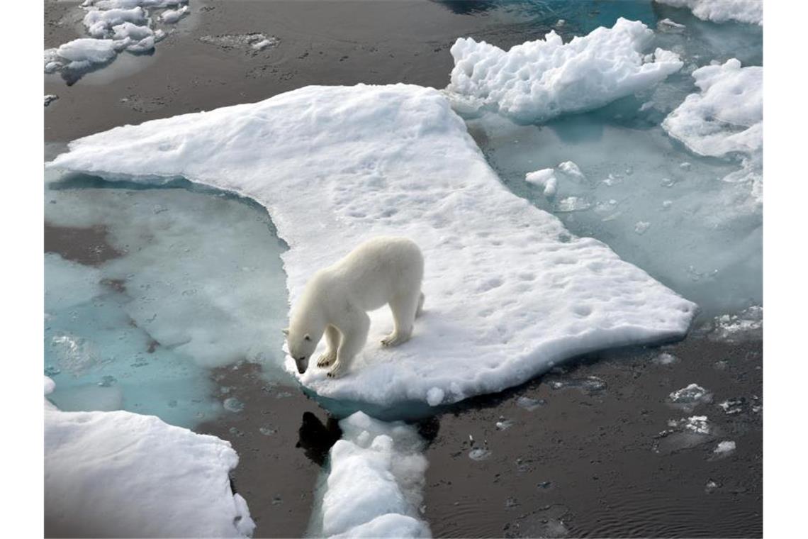 Eisfläche der Arktis dramatisch geschrumpft Die von Meereis bedeckte Fläche in der Arktis ist so klein wie seit sieben Jahren nicht mehr. Foto: Ulf Mauder