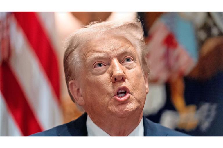 Die von US-Präsident Trump verhängten Importzölle sind am Dienstag in Kraft getreten. (Archivbild)
