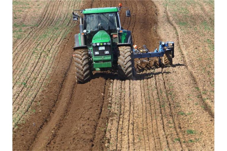 Die wachsende Nachfrage treibt Preise für Ackerland in die Höhe. Foto: Jens Büttner/dpa-Zentralbild/dpa