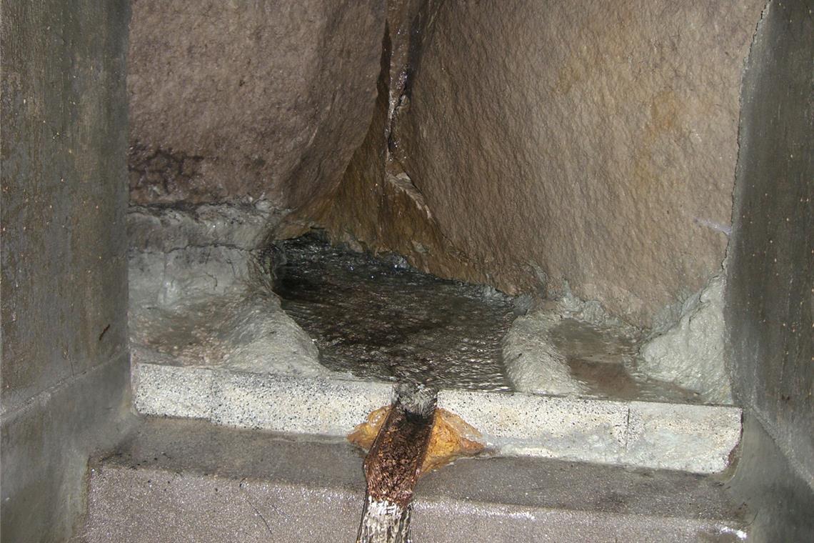 Die Wahlquelle bei Kirchenkirnberg ist eine von 20 Quellen, aus denen die Stadt Murrhardt Trinkwasser bezieht. Foto: privat
