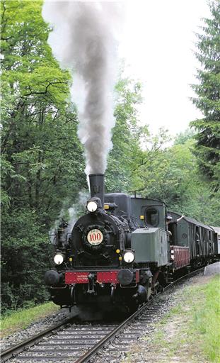 Die Waldbahn auf ihrer Fahrt.